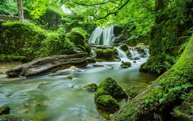 高性能智能制造全自动